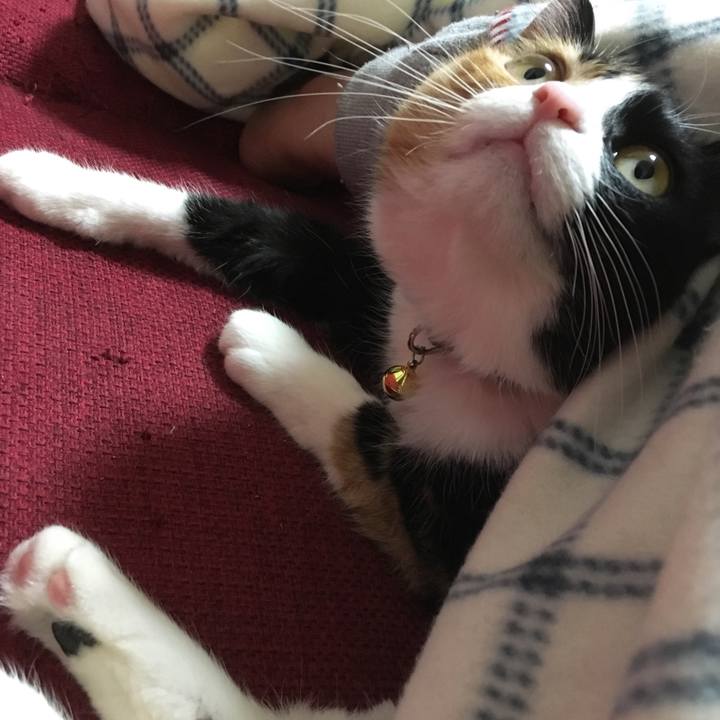 6d609708 260c 4b3b a613 ceeeb59935a2