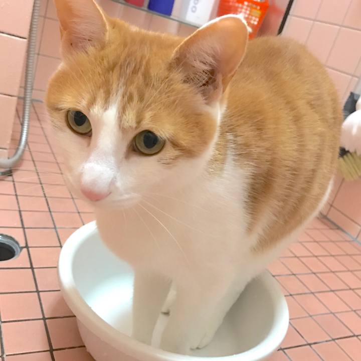 6d60fb0e b1e7 4de6 8534 7b76783b64d8