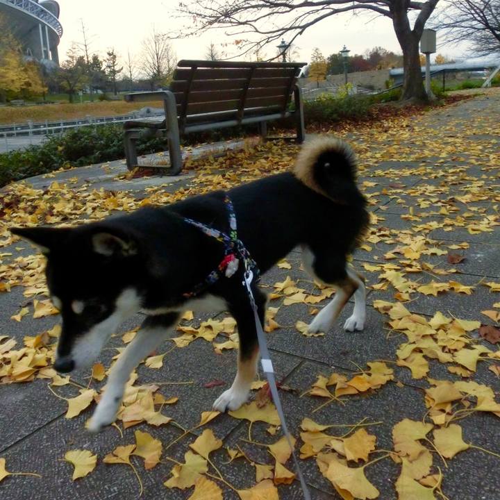 6d620e3c 8164 4683 a17c 6778f1e8fd06