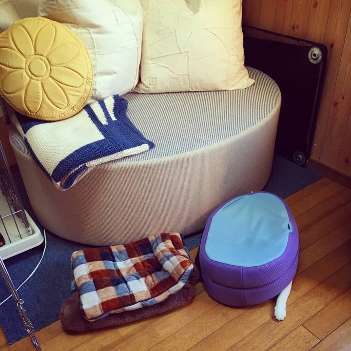 6d62488f 9333 4181 bfa0 d484150d68fe