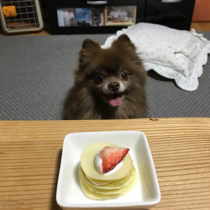 6d6253e6 943e 45be 98ba c2d61f0f8b72