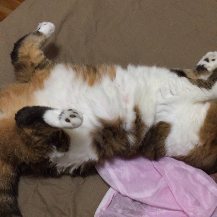 6d62665a 13c5 43f1 8406 5826cc52874c