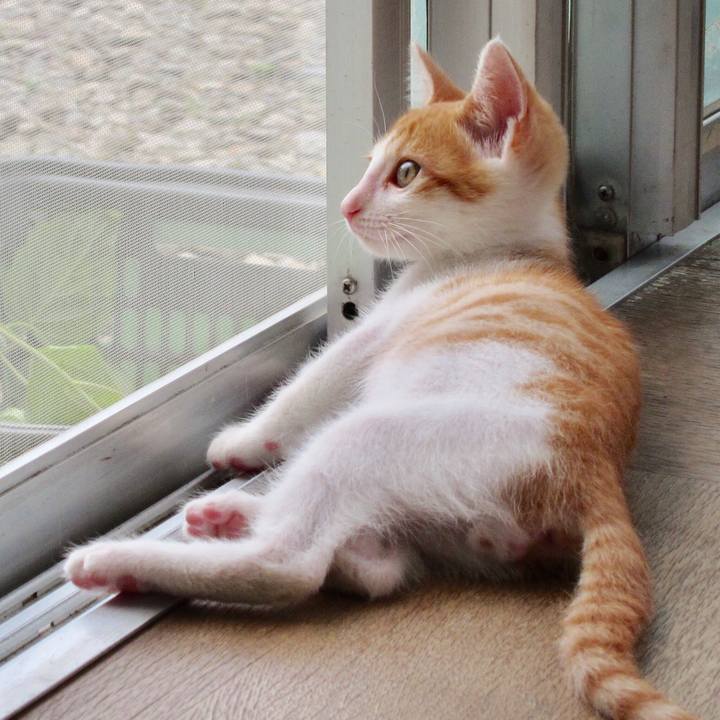 6d6333a0 d56b 4ad8 8328 04d14b1b0b9f