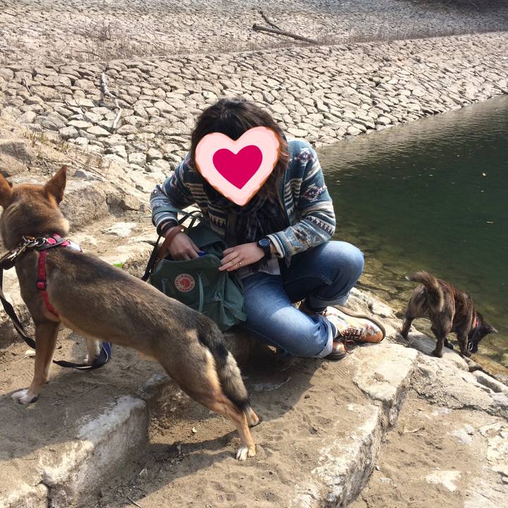 6d640a93 f4b7 4ce5 bfd4 de5a47a540a0