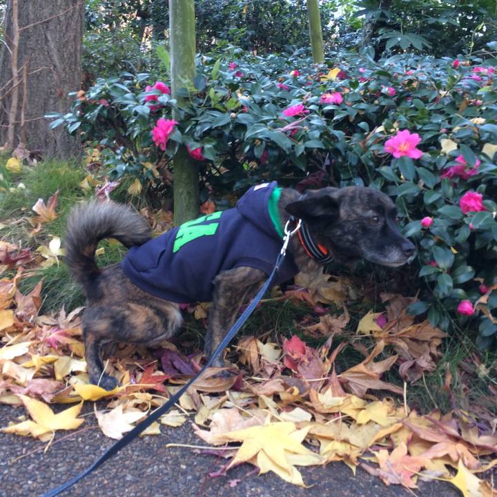 6d649319 6e78 43ce a86f dc07d2f4c515