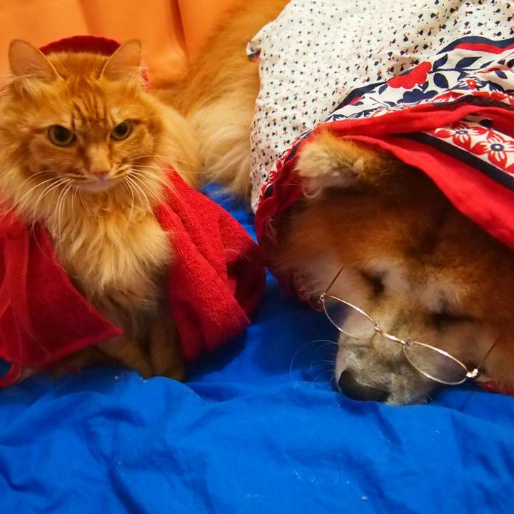 6d6498b5 5c45 44c5 b67b dc8bc83d2687