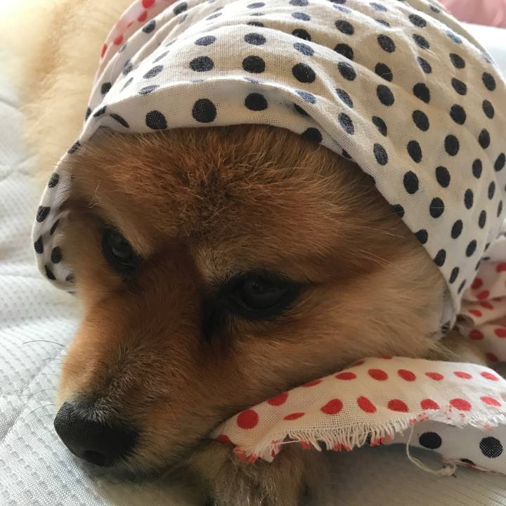 6d64a03b 1e10 4508 87e6 b7c4732bbd7f