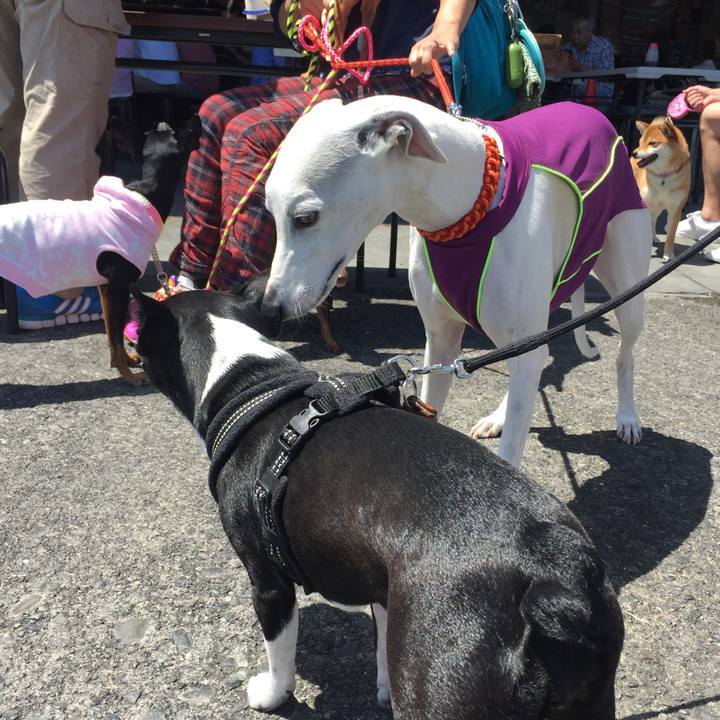 6d64b78c 93ee 4c03 a52d 1386560a2eb1