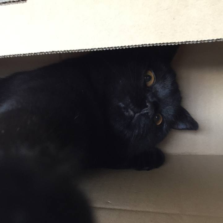 6d65c4c3 7083 413e b4ce d5373981e92a