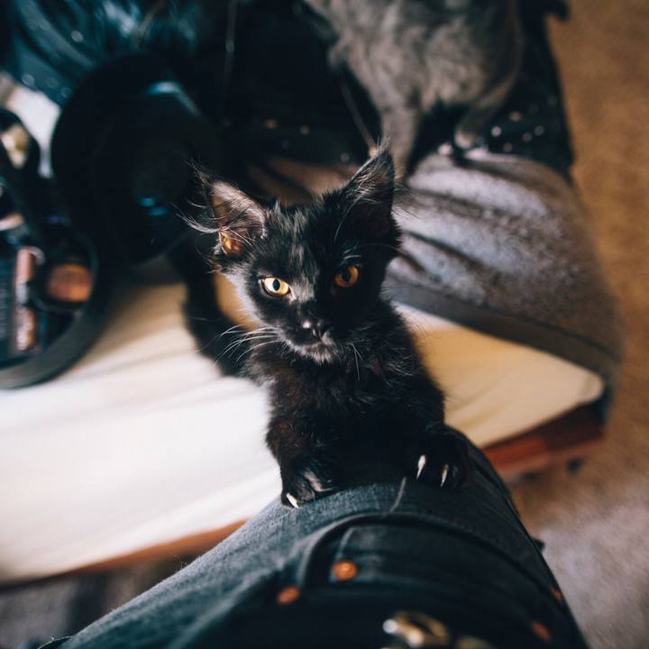 6d6666fa 6a1f 4399 994f b7c34efe0ae2