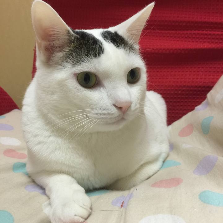 6d6719b6 0833 40a1 99fc 59dd53dbb2bf