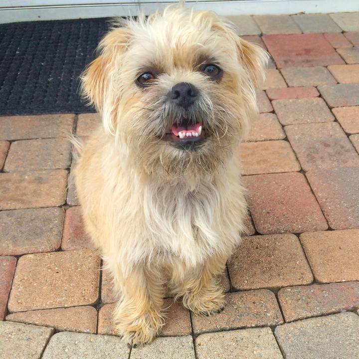 6d67ca8f 0123 4c8c 8435 3f0a94342ddd