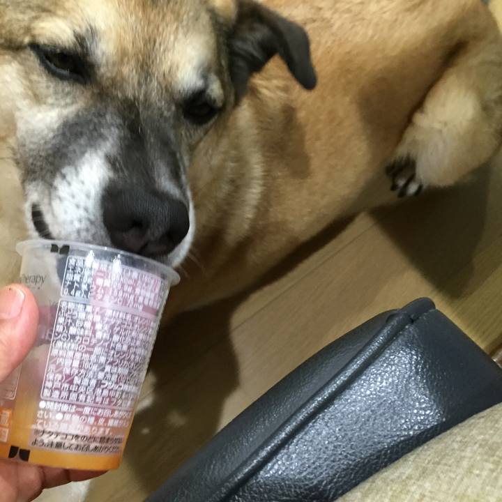 6d67cc9e 1f38 4d51 a525 df43bdef2980