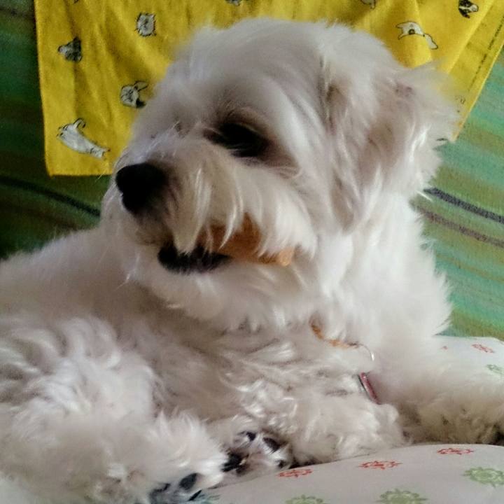 6d67de0b 8122 4a0c 8ee6 2f377a49a77d