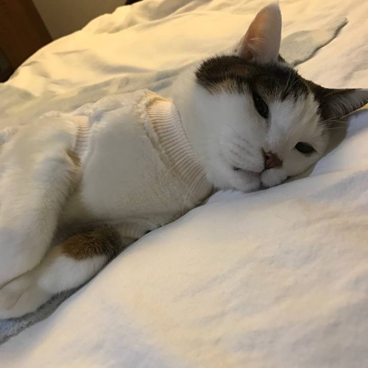 6d67e445 927c 4b1e 8b42 d036ea9b7bbf