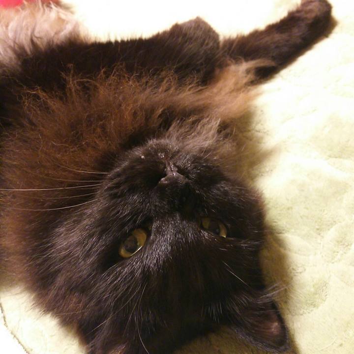 6d68c507 ec45 4650 b3c4 2024a157aaa1