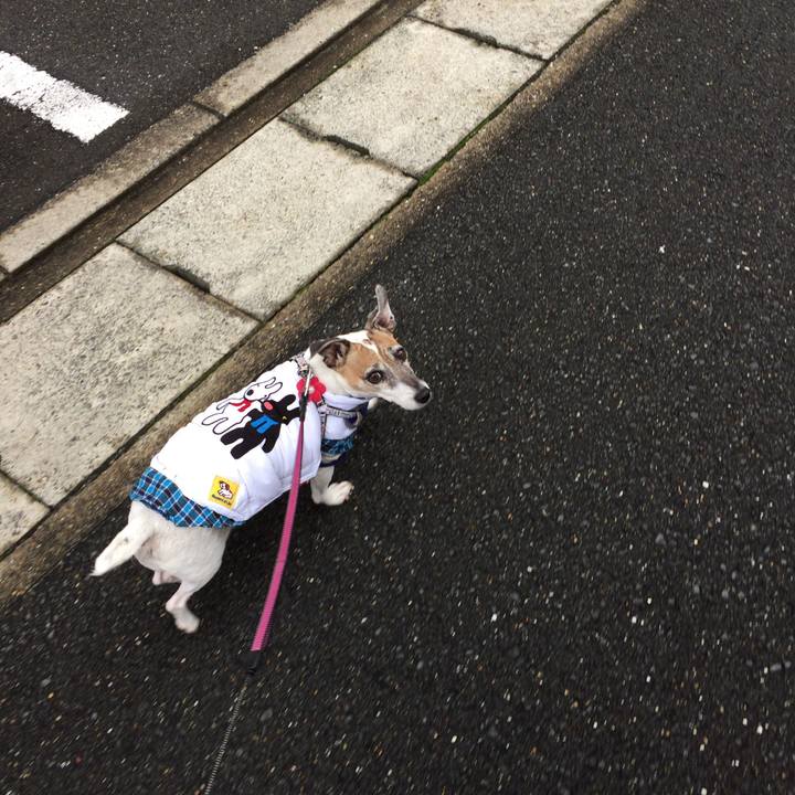 6d692a03 5c8e 4003 a711 c8779fd890dc