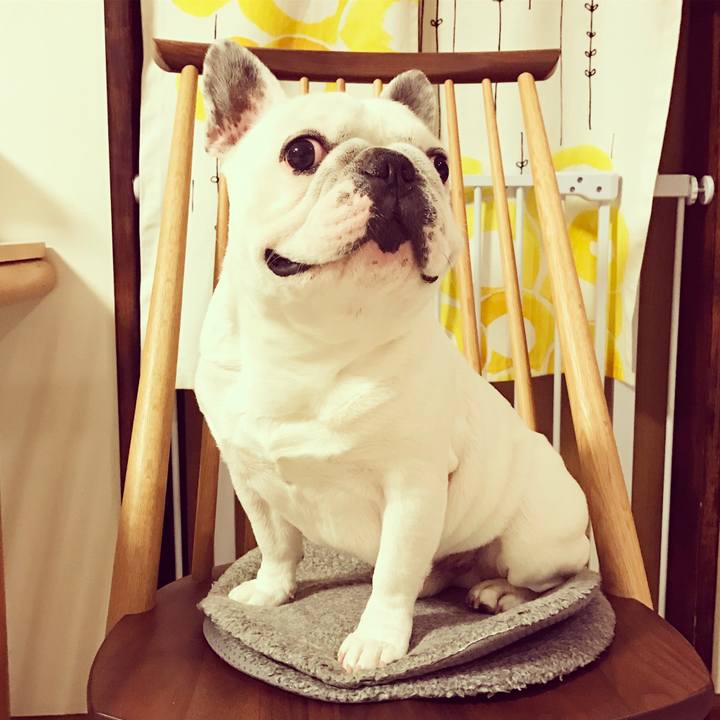 6d69906b fc10 4dae b1ee ecf9d00a0bff