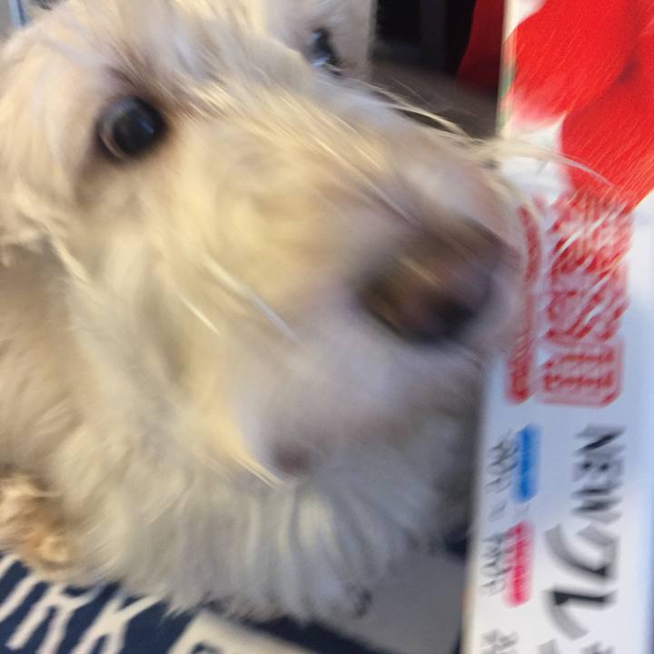 6d6a0c11 7d56 42f1 a5b6 2ec6a44b023e