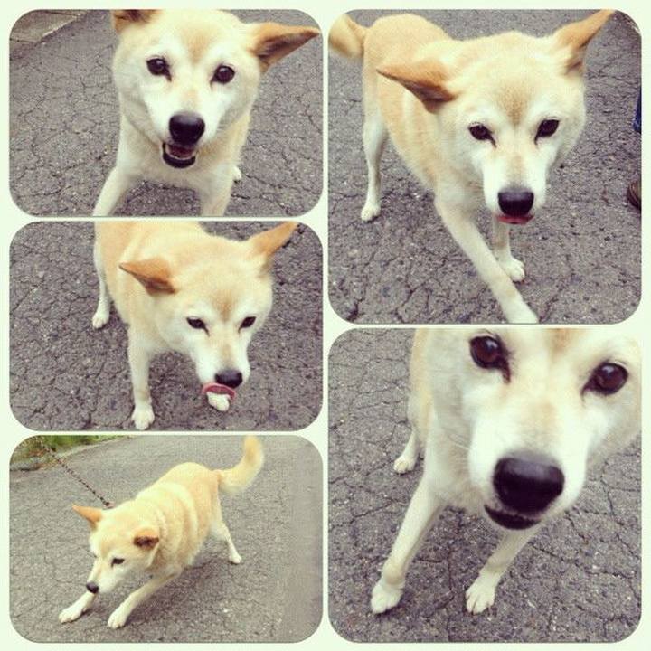 6d6ab058 869f 44f7 a32f d4c80ba0317a