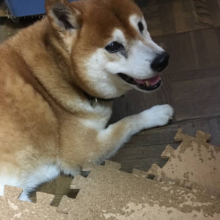 6d6b2a01 c18f 4f16 8c3d 14ac68ebd9c3