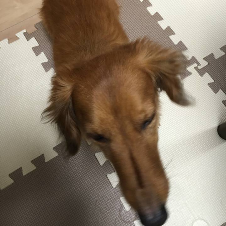 6d6b6bfb 6a23 4571 9bc1 c491e3ca32cc