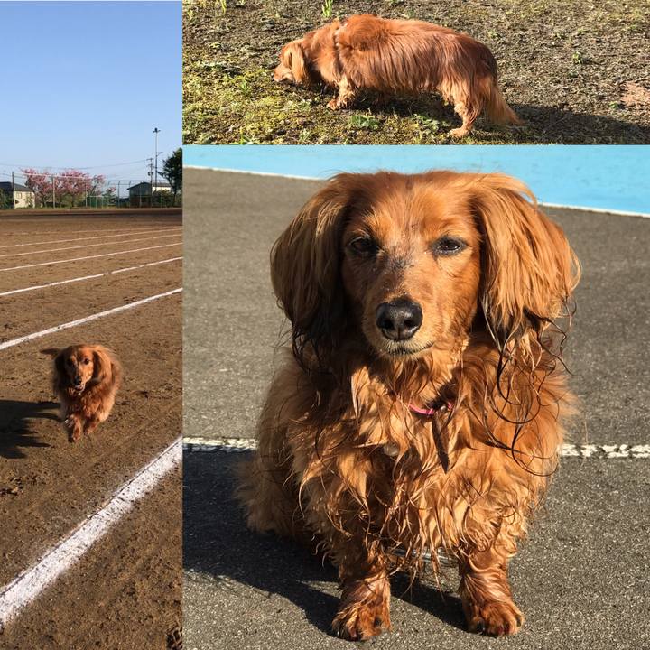 6d6c8c67 d144 4439 8082 000960f8f177