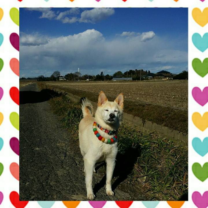 6d6ca16f 4068 4aa1 baba fcea41d3abcf