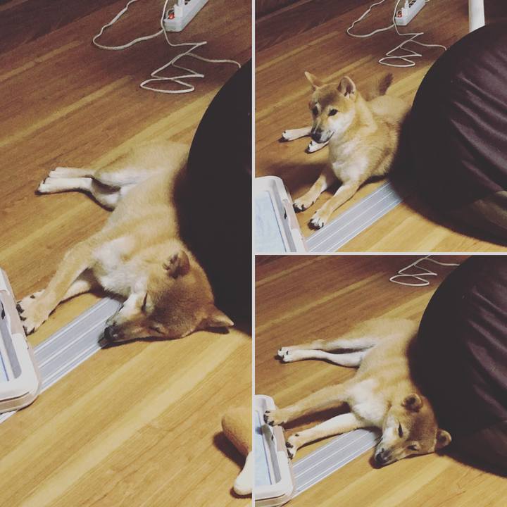 6d6ccec8 01b5 4a89 b183 164a96a76bbe