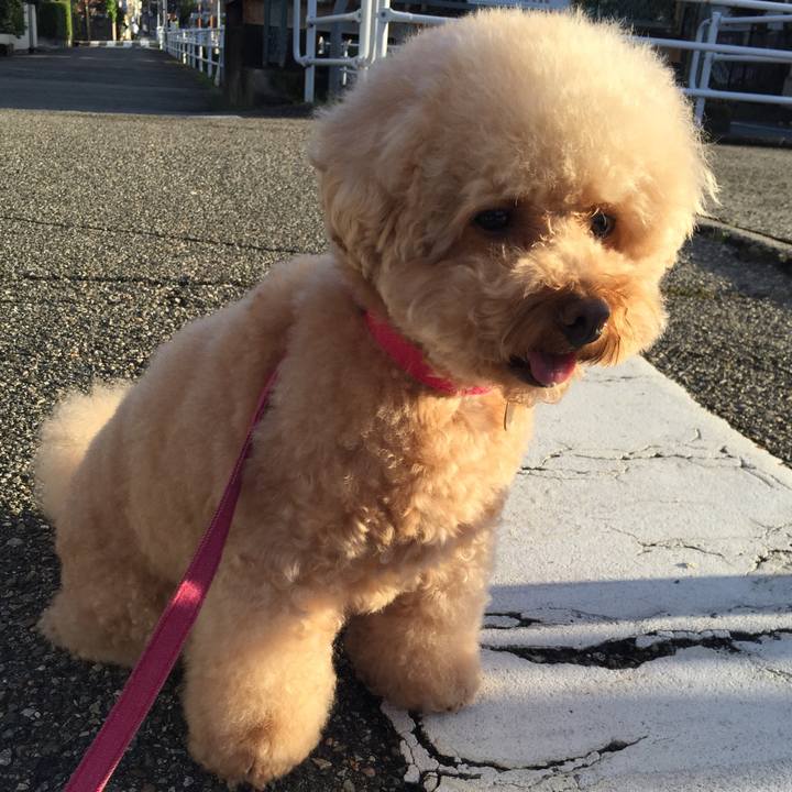 6d6d206c 44a3 436a 923d a8c1996dfccd