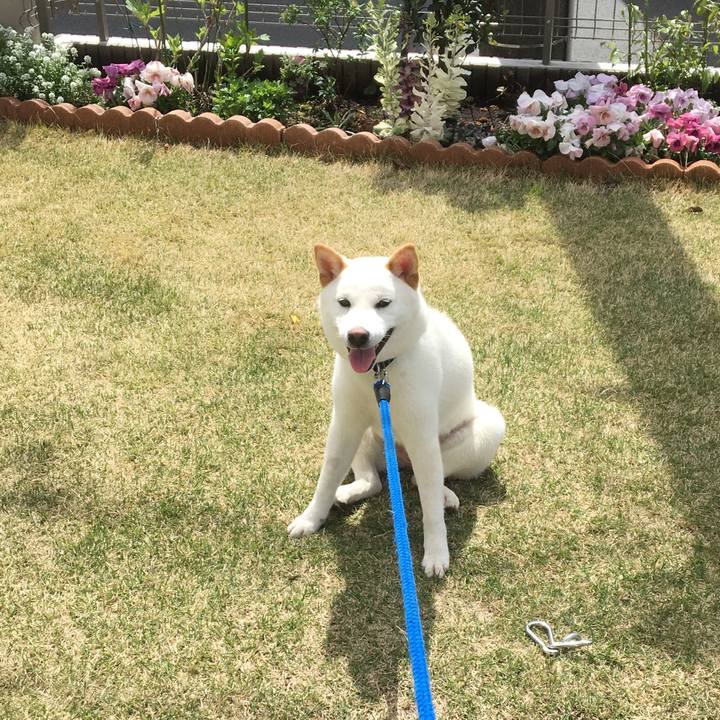 6d6d7aec c4d5 4a06 8260 f7529e54778e