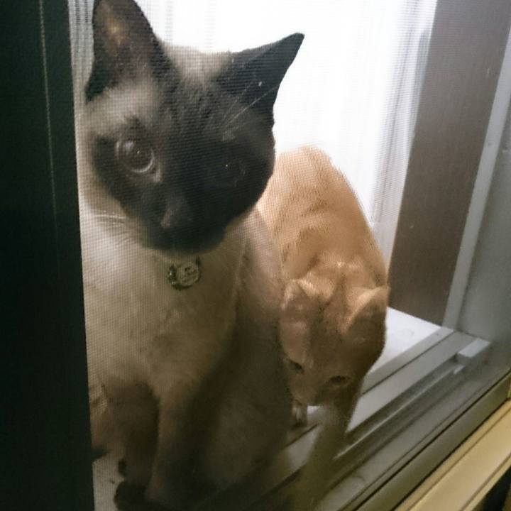 6d6de1d5 e909 4b1f b426 e53dd2496f5a