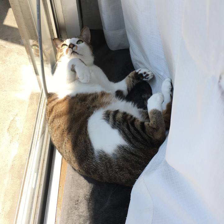 6d6e643c 5999 4ba6 819d 3a17c0c099ad