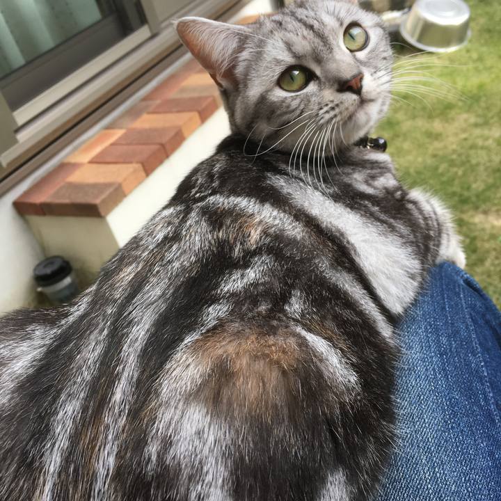 6d6f6f8a 404c 4c2a b668 741c7b406462