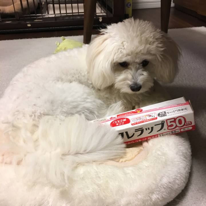 6d6fa29d 65ce 49f0 a284 a7f6dc6510f9