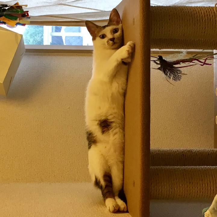 6d6fd07a 838d 49b2 8131 f6d6dff7dd69