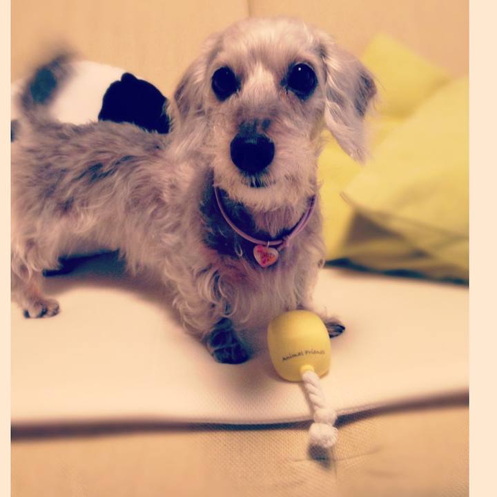 6d700a65 ca92 4efe 9186 41e2e9bcf56d