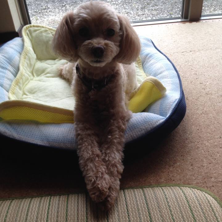 6d7090c5 0506 409b 8fa9 4bb9ca404e71