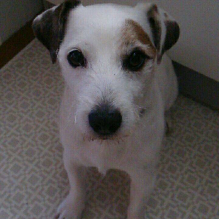 6d730787 85da 4ee6 a8a4 2610643309a2