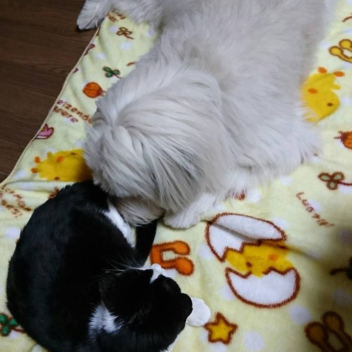 6d738d4f 3494 40ad 9221 714a52f5bf30