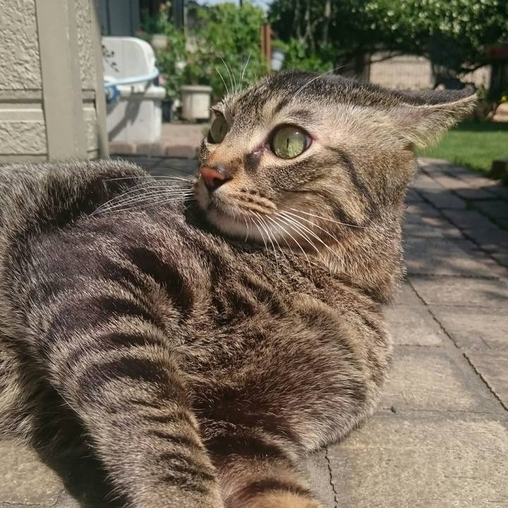 6d746dda 2524 4f4f b545 018dfe5c4465