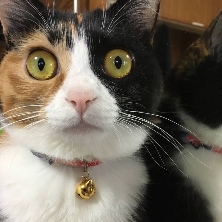 6d747998 dfe1 4f4d a08e adf383b8acae