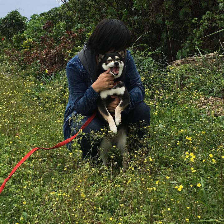 6d74b4e0 ea6d 4dac 98cf 2099a5aa675e