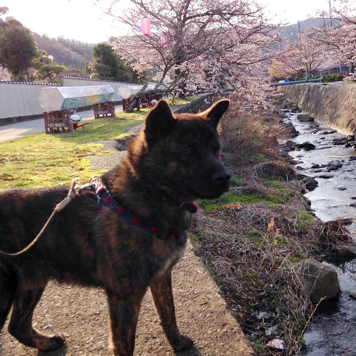 6d753f25 f17f 4335 aaf2 329f915ea06a