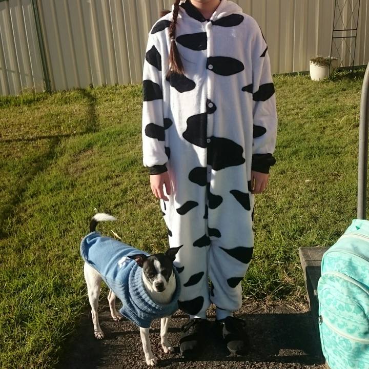 6d75e500 b1e5 40e0 80fa de7938ee8a13