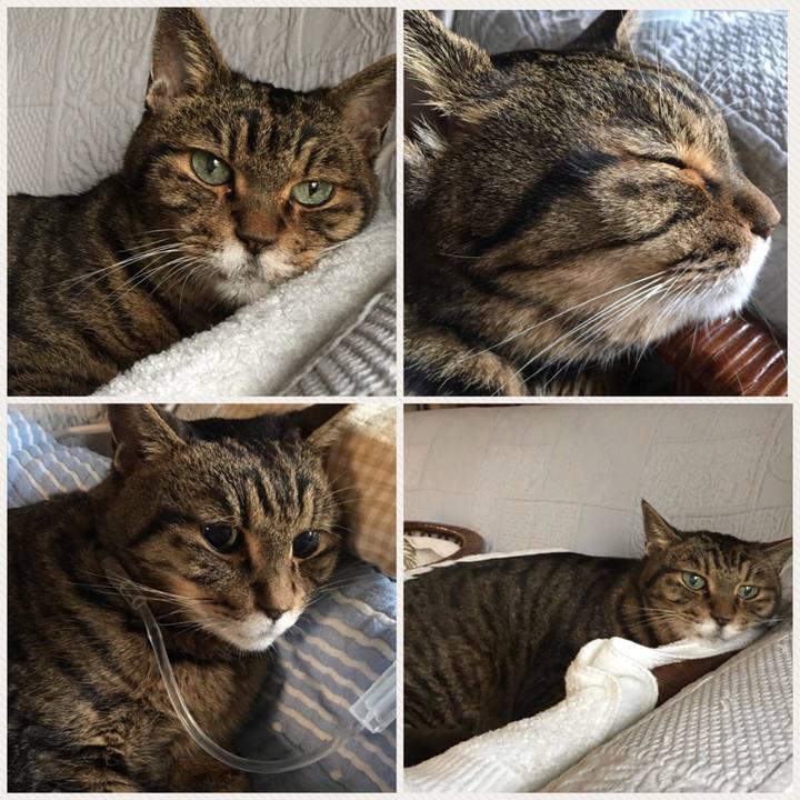 6d75fc02 4efa 4d06 9962 8266340d0f38