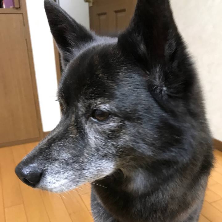 6d763e8f 4f21 42a8 8288 0a62d84216ae