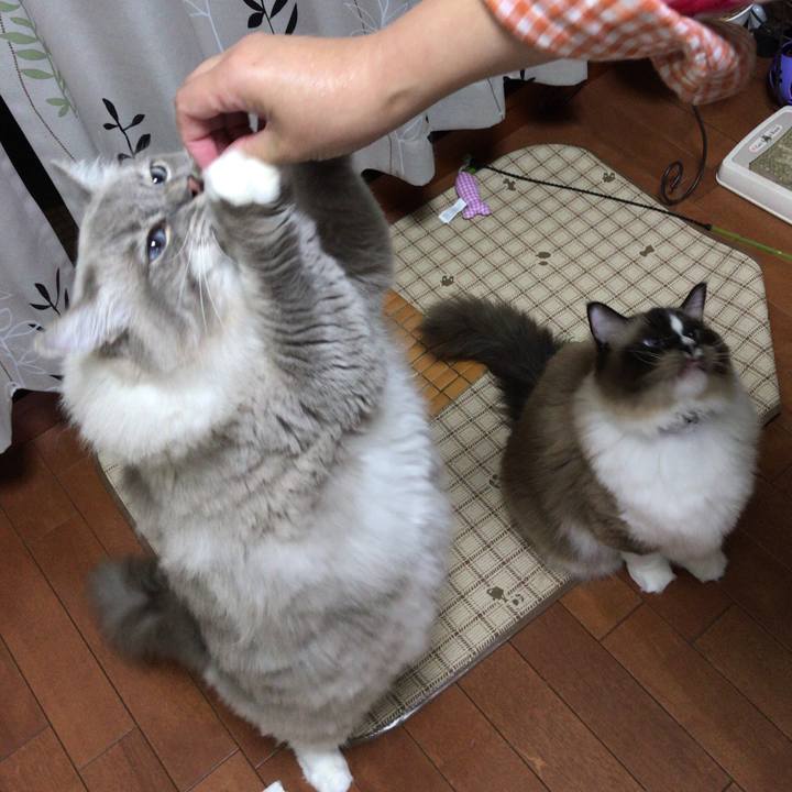 6d769e7d 8af9 4385 851a c9d5cfe5af9e