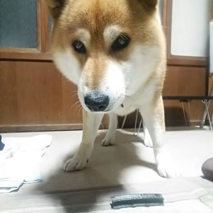 6d76c0e3 d590 4b3e 9c04 63b2cd6c41a9