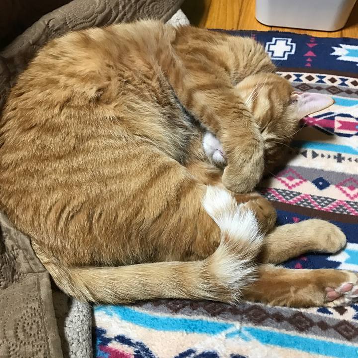 6d77017d 2817 4960 8129 1fb0dc9509e6